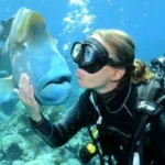 ADVENTURE TO PAYAR ISLAND