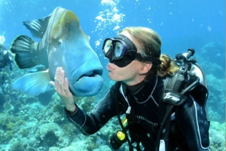 ADVENTURE TO PAYAR ISLAND