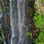 ANIMAL WORLD OF LANGKAWI