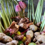 GARDENS AND PARKS OF PENANG