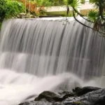 GARDENS AND PARKS OF PENANG