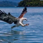 LAKE OF THE PREGNANT MAIDEN-1