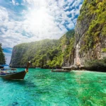 MANGROVE FOREST TOUR