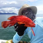 TROLLING AND FISHING IN LANGKAWI