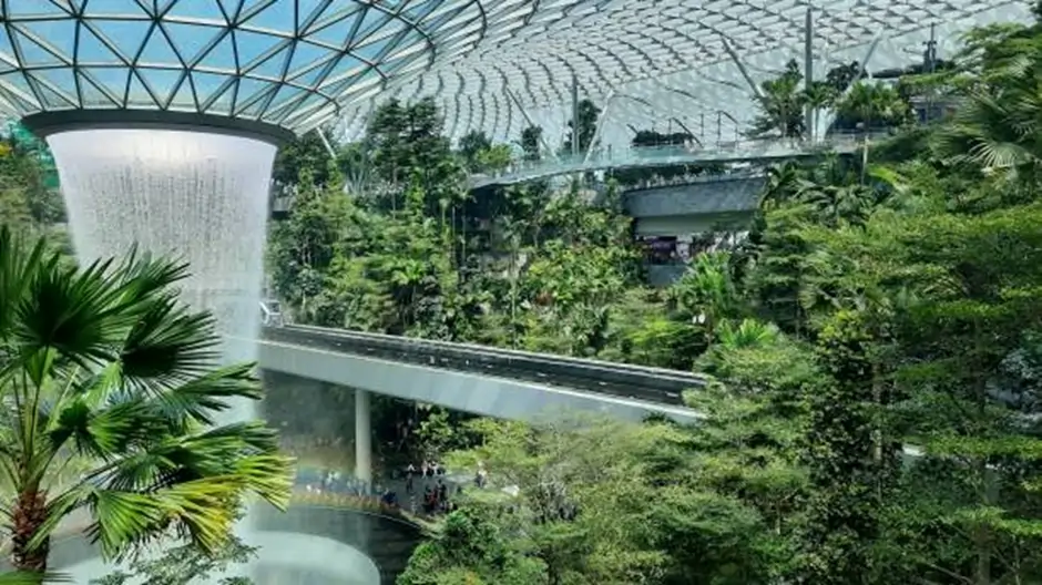 Canopy Park at Jewel Changi Airport, Indoor Adventure with a Twist