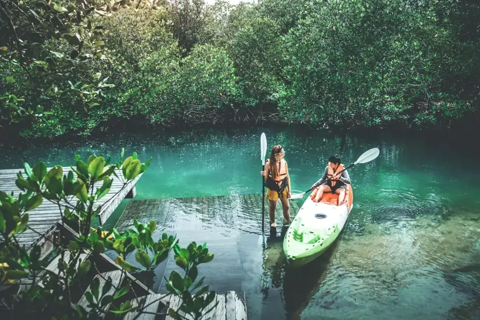 Mangrove Kayaking in Langkawi, Eco Adventure Together