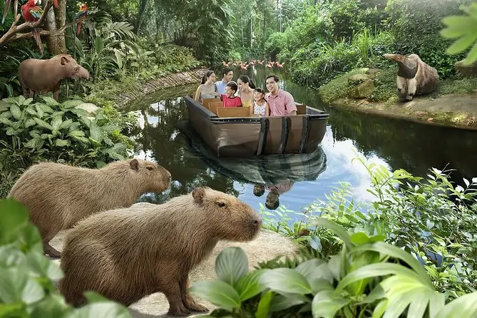 Rainforest River Quest at Singapore Zoo, Adventure Boat Ride