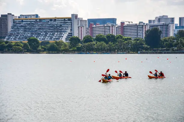 Stand-Up Paddleboarding at Kallang Basin, Balance and Teamwork