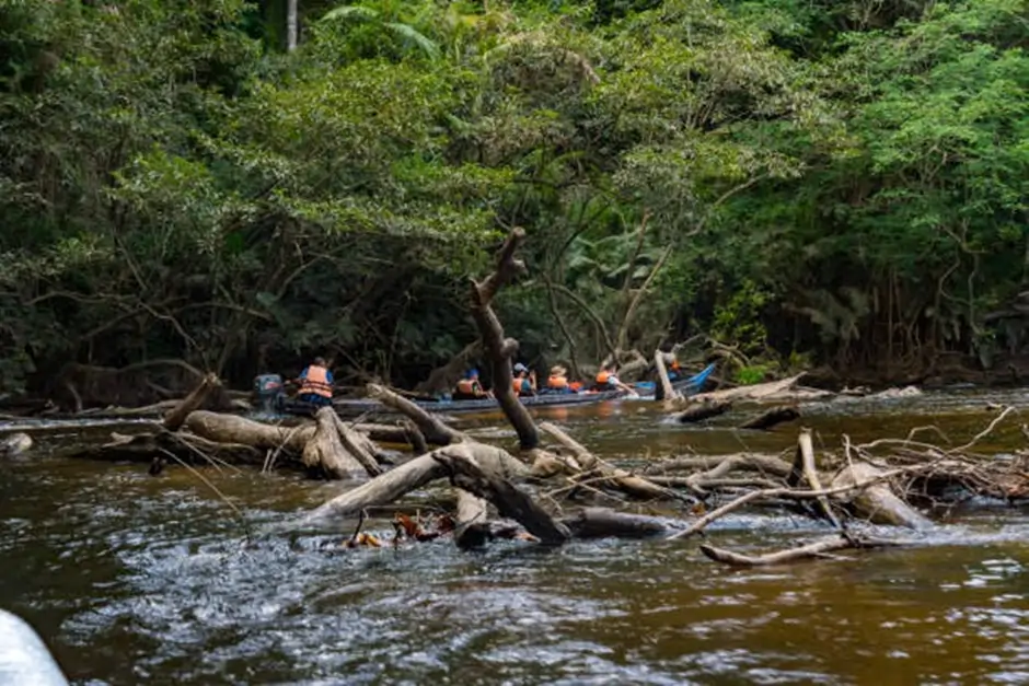 White Water Rafting in Pahang, Thrill and Teamwork